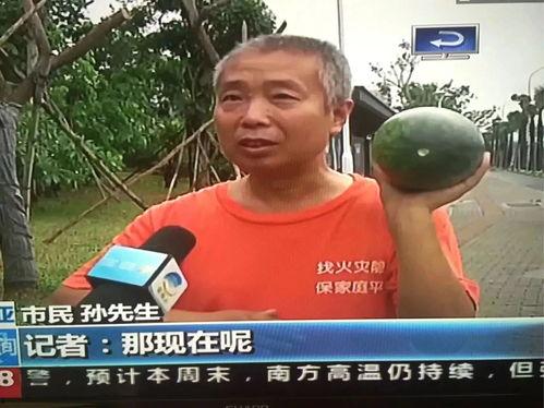 最近热门事件合集吃瓜 爆料,吃瓜爆料，揭秘娱乐圈风云变幻